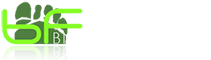 BigFoot Web Labs